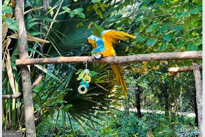 776 McBride Road, Fayetteville, GA 30215 - Photo 8