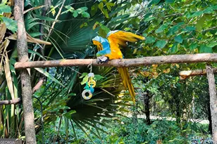 776 McBride Rd, Fayetteville, GA 30215 - Photo 8