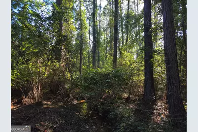 00 Walden Way, Adrian, GA 31002 - Photo 8