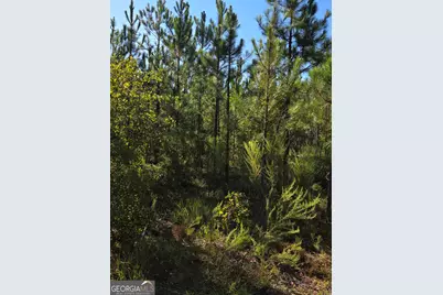 00 Walden Way, Adrian, GA 31002 - Photo 2