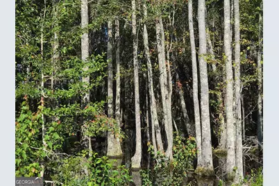 00 Walden Way, Adrian, GA 31002 - Photo 4