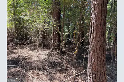 Tracts 1 &amp; 5 Old Rumble Road, Forsyth, GA 31029 - Photo 8