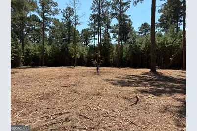 Tracts 1 &amp; 5 Old Rumble Road, Forsyth, GA 31029 - Photo 1