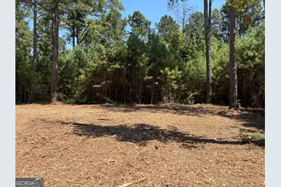 Tracts 1 &amp; 5 Old Rumble Road, Forsyth, GA 31029 - Photo 4