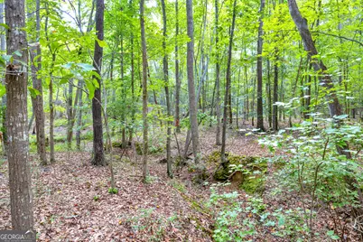 0 Winding Way #LOT G, Hartwell, GA 30643 - Photo 24