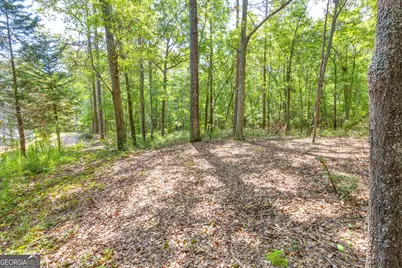 0 Winding Way #LOT G, Hartwell, GA 30643 - Photo 18