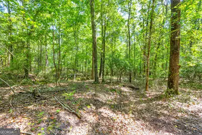 0 Winding Way #LOT G, Hartwell, GA 30643 - Photo 16