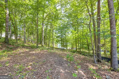 0 Winding Way #LOT G, Hartwell, GA 30643 - Photo 20