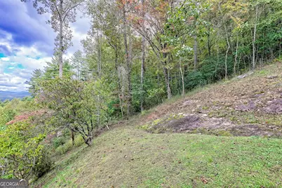 52 Lucky Lane, Rabun Gap, GA 30568 - Photo 42