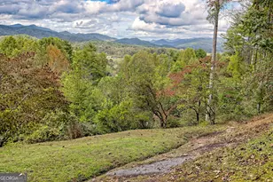 52 Lucky Ln, Rabun Gap, GA 30568 - Photo 48