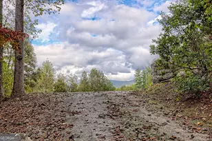 52 Lucky Ln, Rabun Gap, GA 30568 - Photo 50