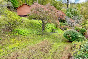 52 Lucky Ln, Rabun Gap, GA 30568 - Photo 58