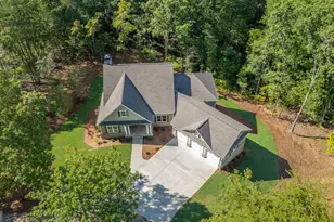 120 Fall Pippin Court, Clarkesville, GA 30523 - Photo 62