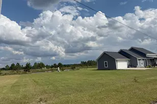 228 Zoarbella Dr, Baxley, GA 31513 - Photo 2