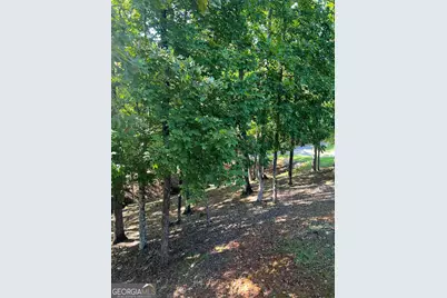 55 Green Oak Circle, Thomaston, GA 30286 - Photo 82