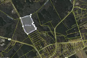 0 Bearden Rd, Good Hope, GA 30641 - Photo 1