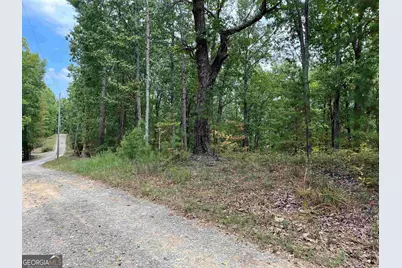 32 Antler Court #2, Ranger, GA 30734 - Photo 1