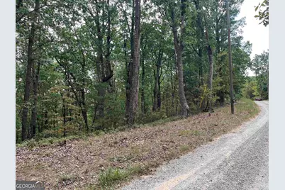 32 Antler Court #2, Ranger, GA 30734 - Photo 2