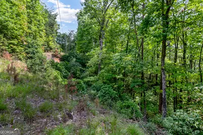 4.69 Rockwater Road, Ellijay, GA 30536 - Photo 4