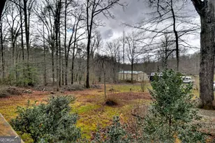 59 Christel & Nathan Ln, Blue Ridge, GA 30513 - Photo 32