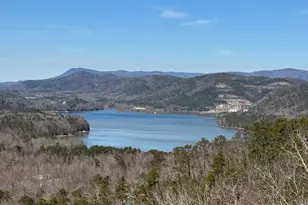 167 Jasmine Dr NE, Ranger, GA 30734 - Photo 46