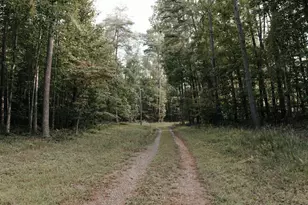 170 Ashley Dr, McCaysville, GA 30555 - Photo 4