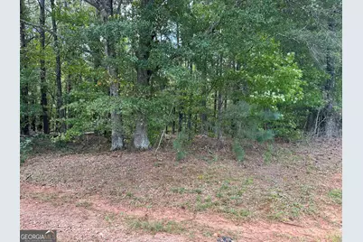 0 Teasley Trail, Moreland, GA 30259 - Photo 6