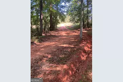0 Teasley Trail, Moreland, GA 30259 - Photo 2