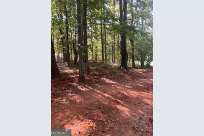 0 Teasley Trail, Moreland, GA 30259 - Photo 6