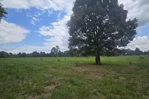 3599 Ga Hwy 127, Mauk, GA 31058 - Photo 14