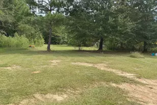 333 Ike Williams Rd, Gay, GA 30218 - Photo 8
