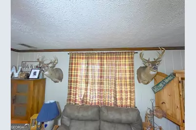 60 +/- Acres At 295 J Davis Road, Tallapoosa, GA 30176 - Photo 20