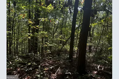 0 Wauka Mountain Terrace, Clermont, GA 30527 - Photo 8