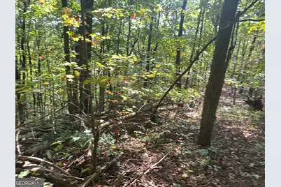 0 Wauka Mountain Terrace, Clermont, GA 30527 - Photo 4