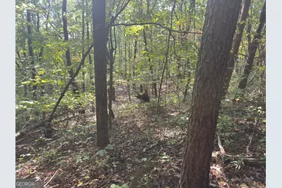 0 Wauka Mountain Terrace, Clermont, GA 30527 - Photo 8