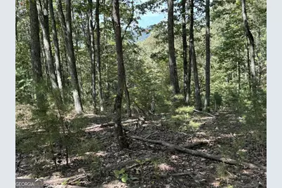 1005 Mayfield Lane NE, Ranger, GA 30734 - Photo 18