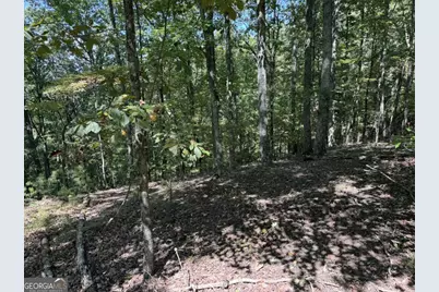 1005 Mayfield Lane NE, Ranger, GA 30734 - Photo 16