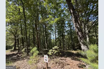 1005 Mayfield Lane NE, Ranger, GA 30734 - Photo 10