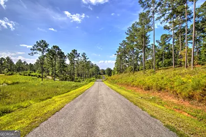127 Hillside Lane #LT 25, Ellijay, GA 30540 - Photo 6