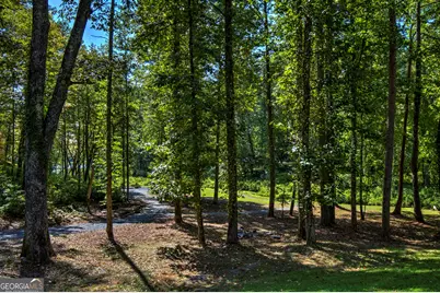 127 Hillside Lane #LT 25, Ellijay, GA 30540 - Photo 26