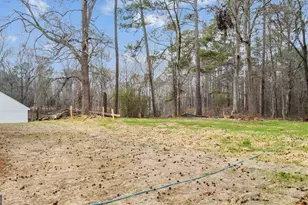 113 Clemit Harris Rd, Newnan, GA 30263 - Photo 4