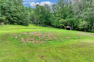 1362 Cherry Log St, Cherrylog, GA 30522 - Photo 6