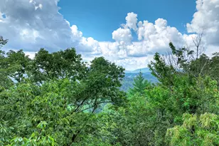 1362 Cherry Log St, Cherrylog, GA 30522 - Photo 54