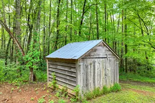 1362 Cherry Log St, Cherrylog, GA 30522 - Photo 48