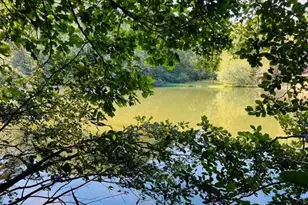 4 Maxwell Mountain Road, Ellijay, GA 30540 - Photo 10