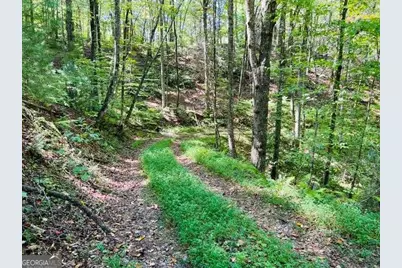 4 Maxwell Mountain Road, Ellijay, GA 30540 - Photo 4