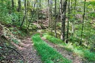 4 Maxwell Mountain Road, Ellijay, GA 30540 - Photo 4