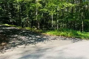 4 Maxwell Mountain Road, Ellijay, GA 30540 - Photo 2
