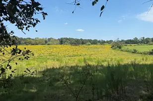 1237 Carl-Bethlehem Rd, Winder, GA 30680 - Photo 18