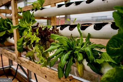 1540 Flint Hill Highway, Shiloh, GA 31826 - Photo 56